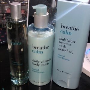 bath and body works breathe calm set